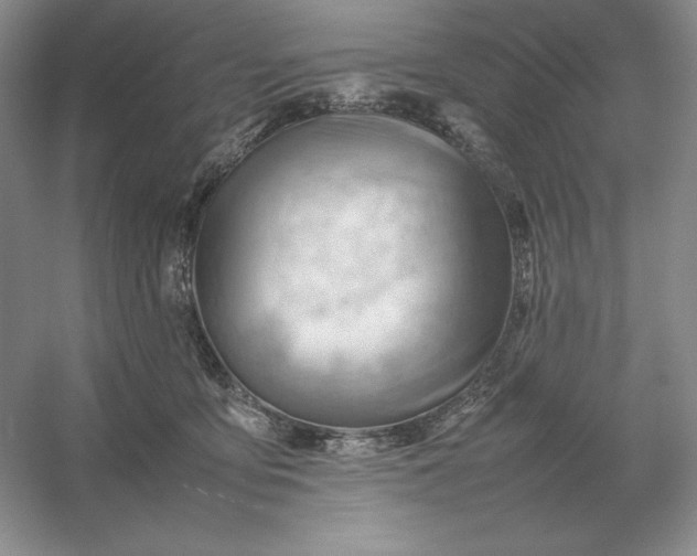 X0000053150419200507251847