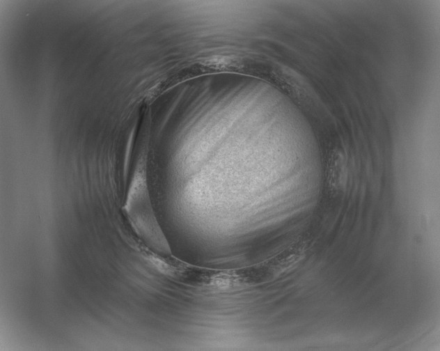 X0000053150420200507251847