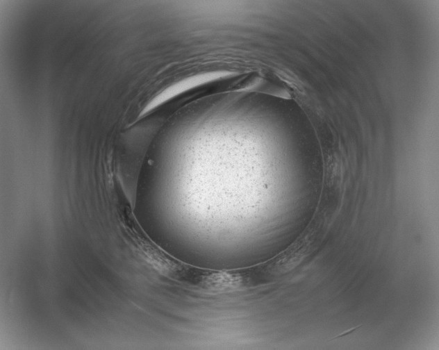X0000053150421200507251847