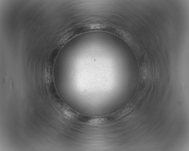 X0000053150422200507251847