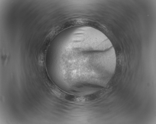 X0000053150423200507251846