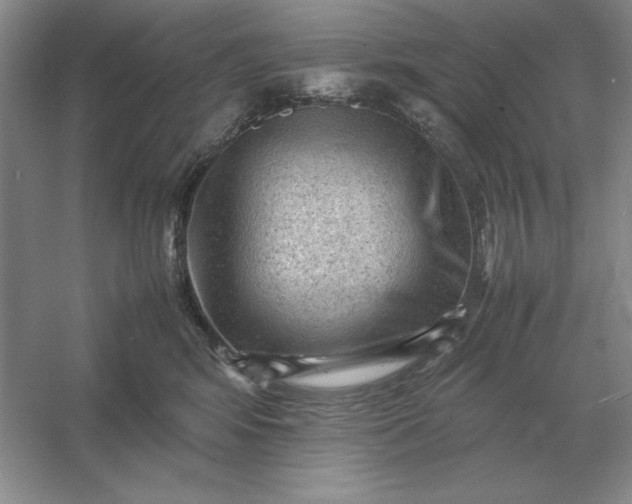 X0000053150424200507251846