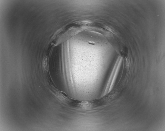 X0000053150425200507251846