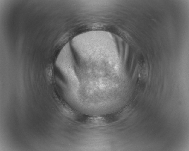 X0000053150427200507251846