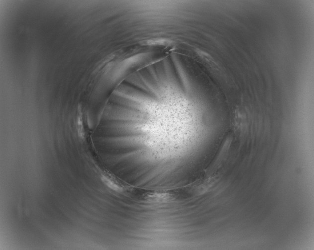 X0000053150428200507251846