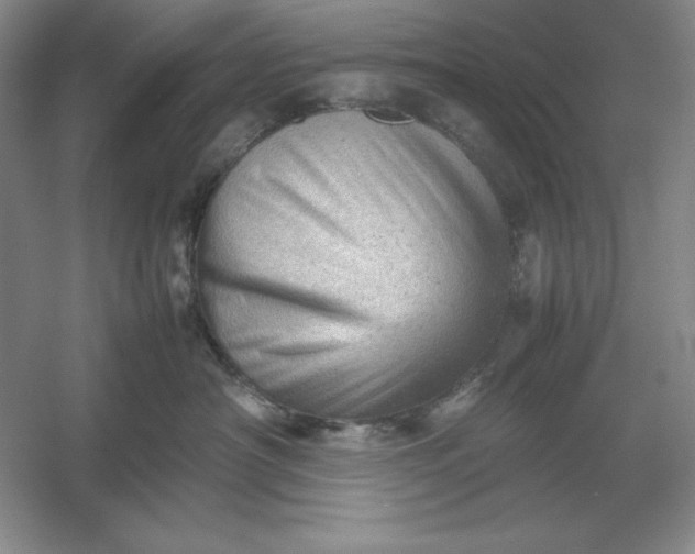 X0000053150430200507251846
