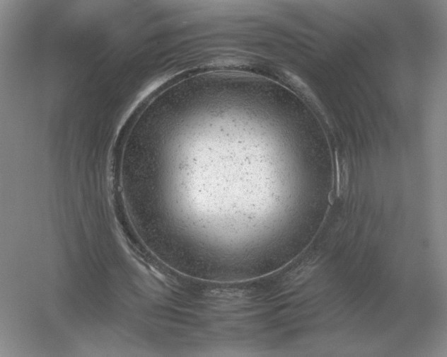 X0000053150435200507251846
