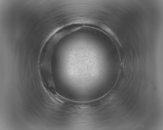 X0000053150436200507251846