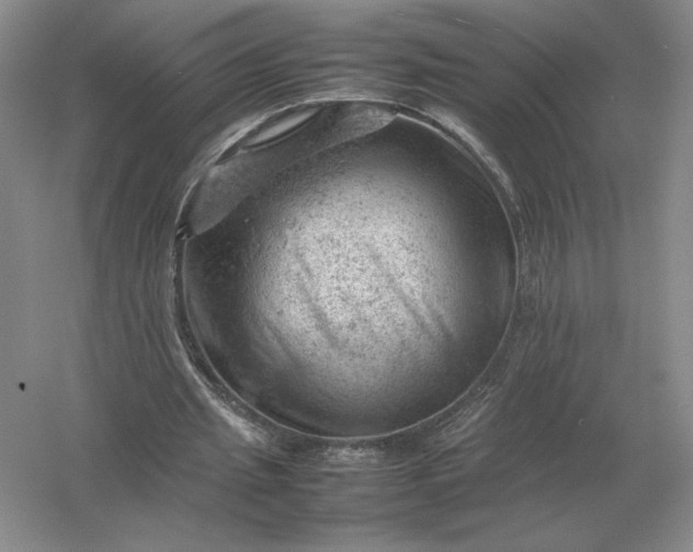 X0000053150437200507251846