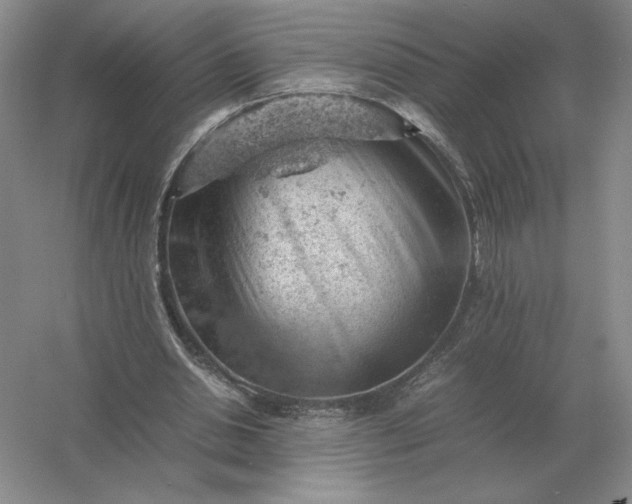 X0000053150438200507251846