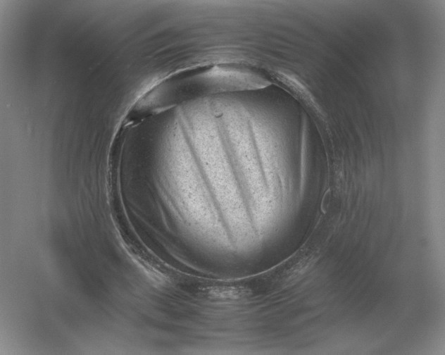 X0000053150439200507251846