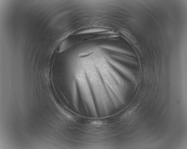 X0000053150441200507251846