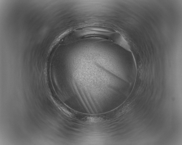 X0000053150442200507251846