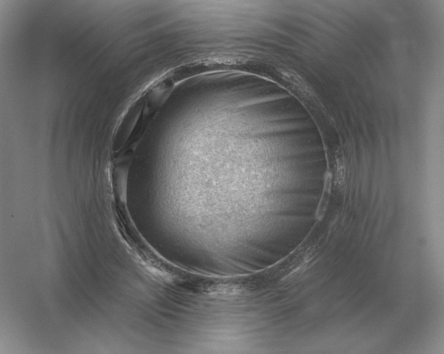 X0000053150444200507251846