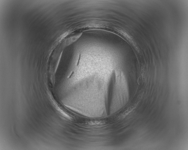 X0000053150445200507251846