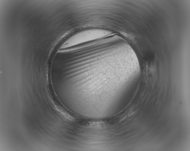 X0000053150446200507251846