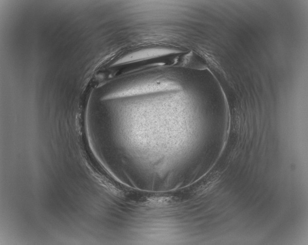 X0000053150450200507251846