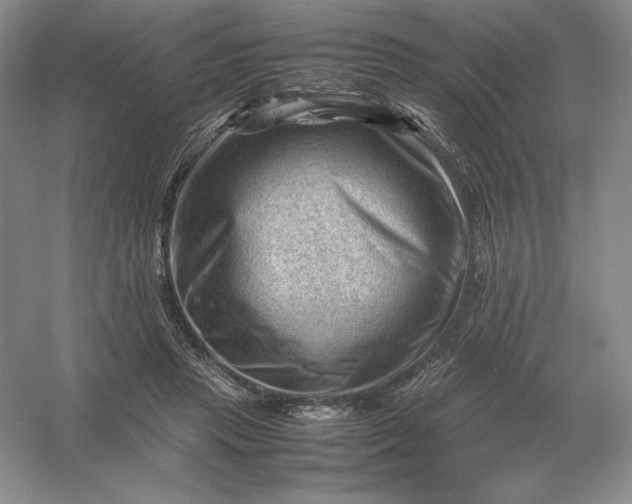 X0000053150453200507251846
