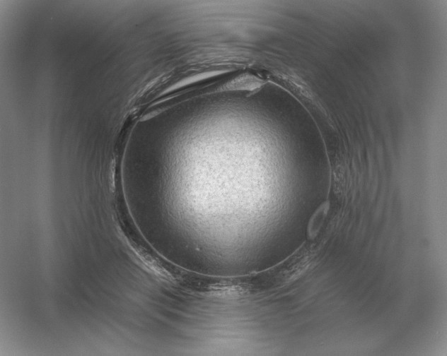 X0000053150454200507251846