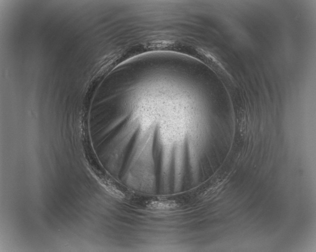 X0000053150455200507251846