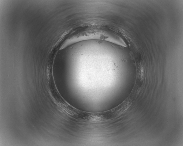 X0000053150456200507251846