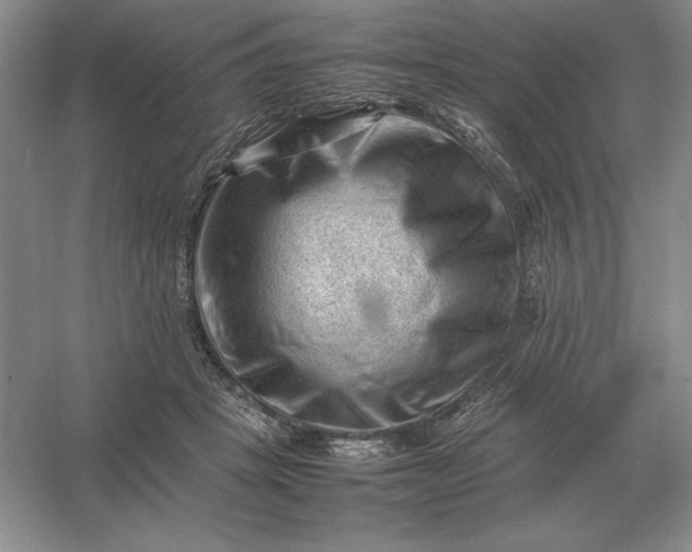 X0000053150457200507251846