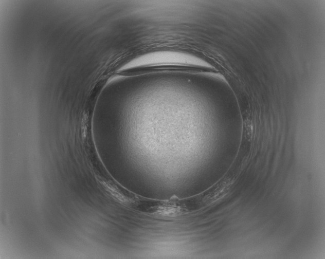 X0000053150458200507251846