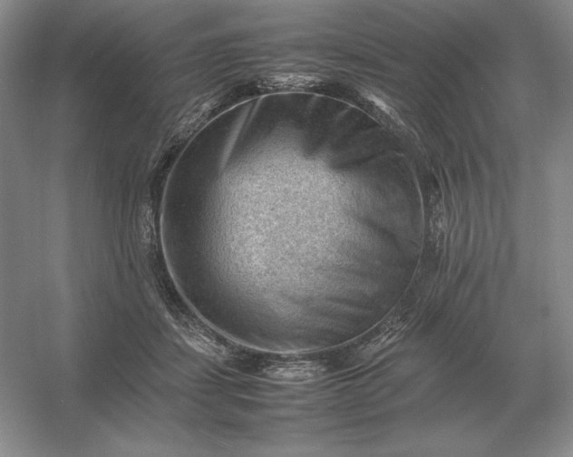 X0000053150459200507251846