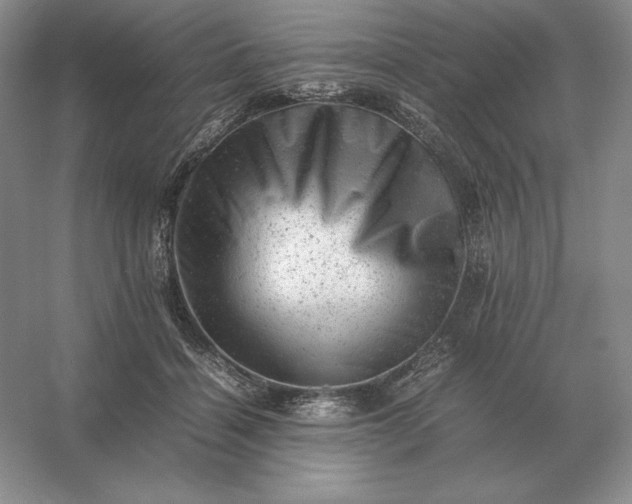 X0000053150460200507251846