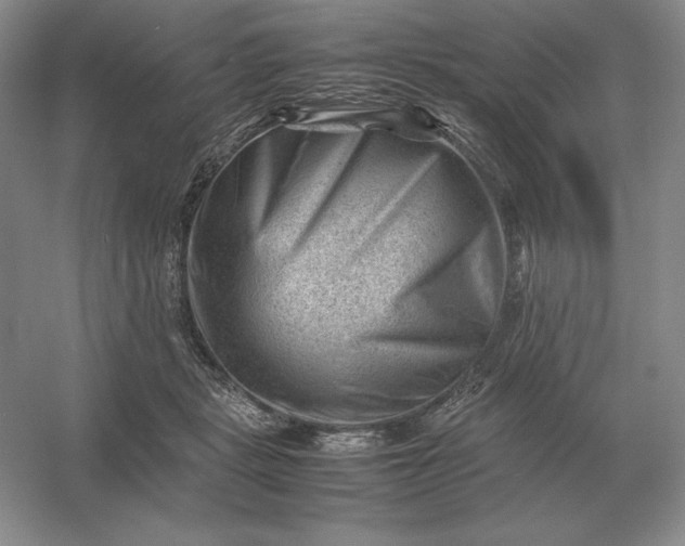 X0000053150461200507251846