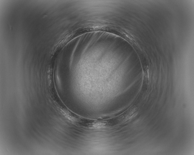 X0000053150462200507251846