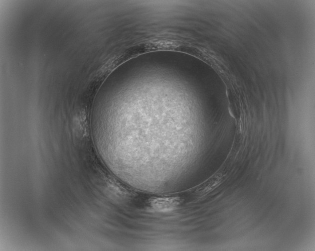 X0000053150465200507251846