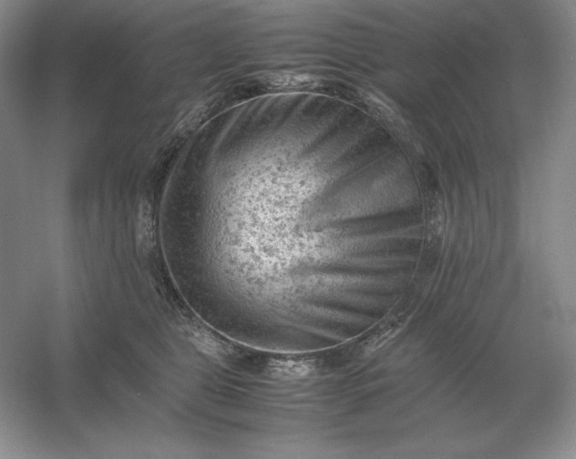 X0000053150469200507251846