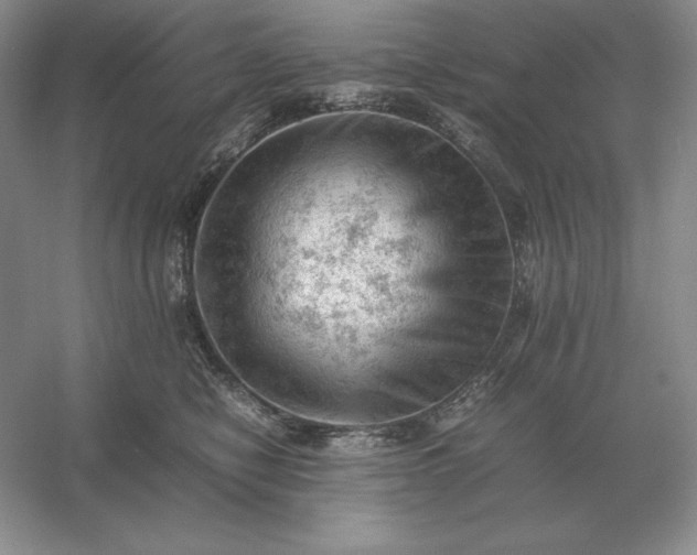 X0000053150470200507251846