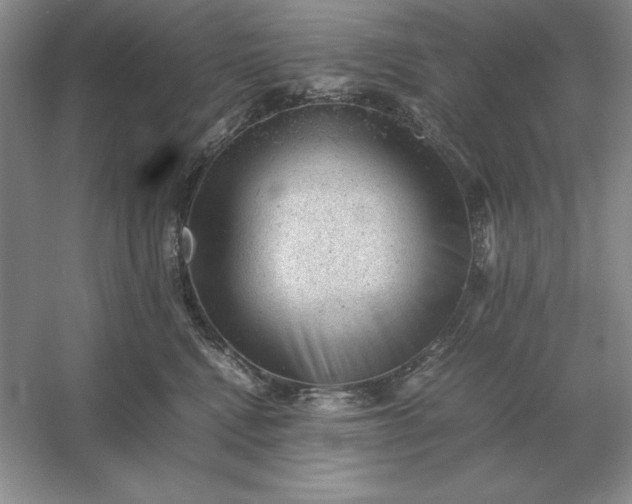 X0000053150472200507251846