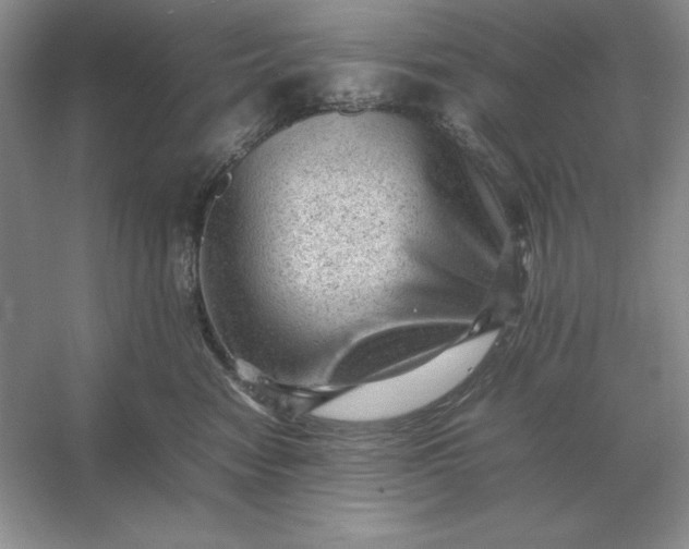 X0000053150474200507251846