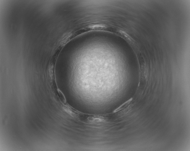 X0000053150475200507251846