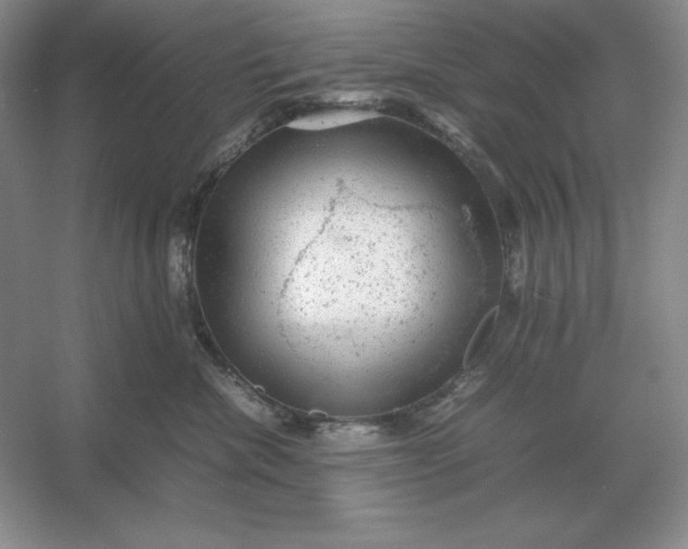 X0000053150476200507251846