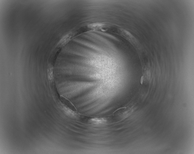 X0000053150477200507251846