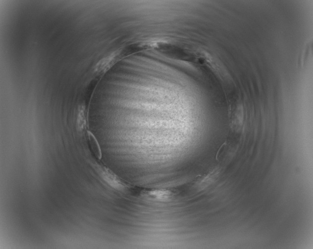 X0000053150478200507251846