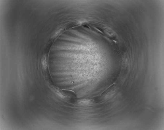 X0000053150479200507251846