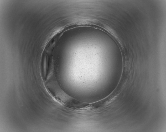 X0000053150485200507251845