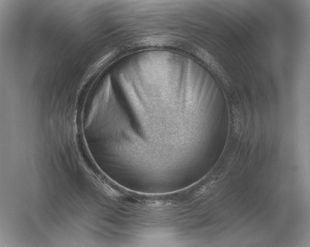 X0000053150486200507251845
