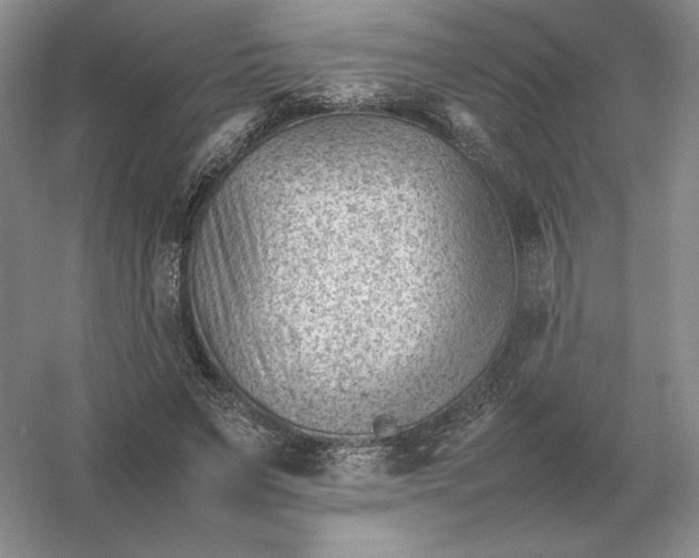 X0000053150495200507251845