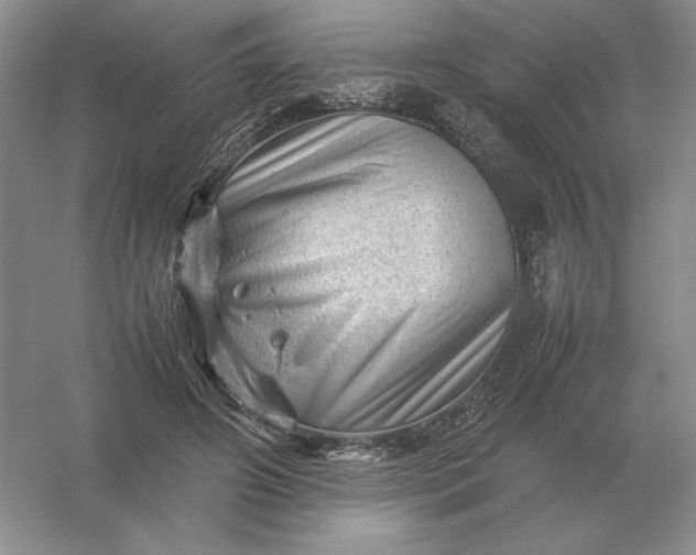 X0000053150498200507251845
