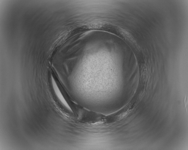 X0000053150501200507251845