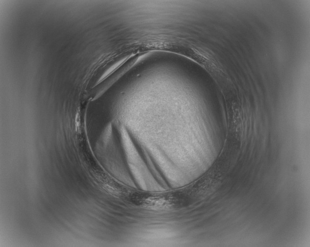 X0000053150502200507251845
