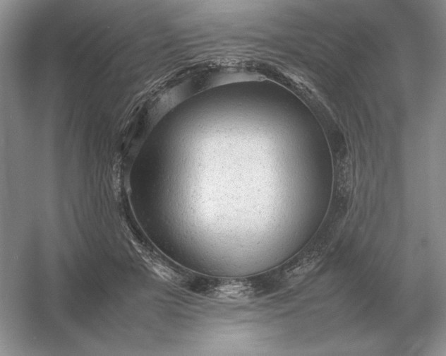 X0000053150505200507251845