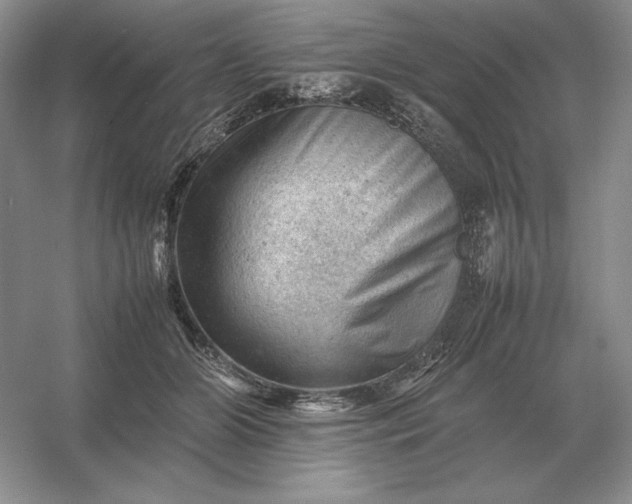 X0000053150510200507251845