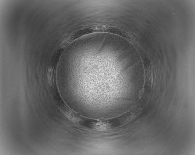 X0000053150511200507251845